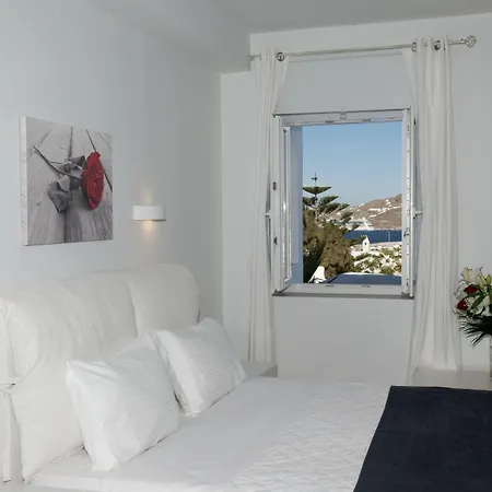 赞尼斯酒店 酒店 Mykonos Town