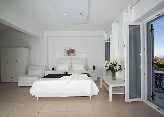 赞尼斯酒店 3* Mykonos Town