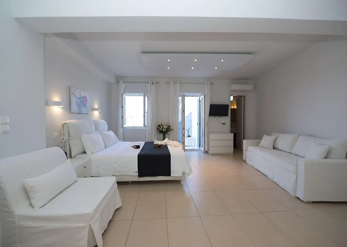 赞尼斯酒店 3* Mykonos Town